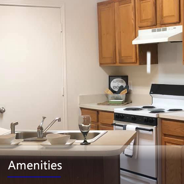 Features and Amenities